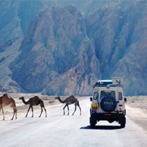 Egypt Adventure Travel